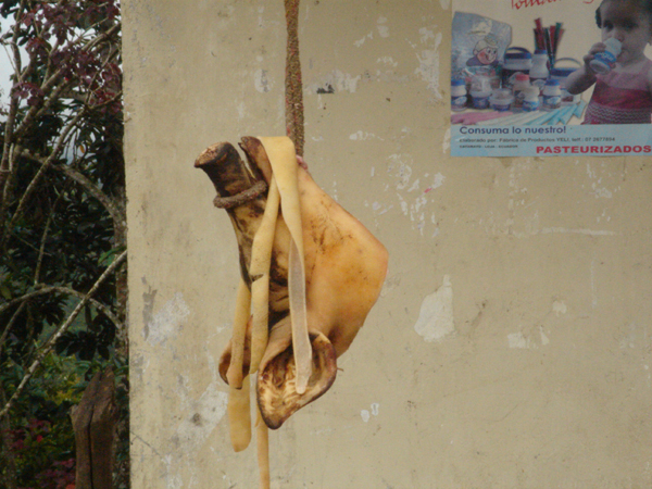 01E - Qui veut une t&ecirc;te de cochon...