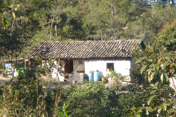 01H - Maison typique de la campagne