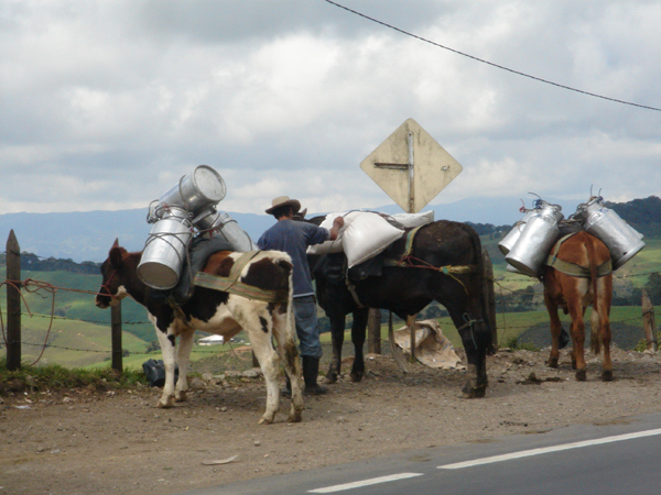 05C - vous produisez...vous portez...