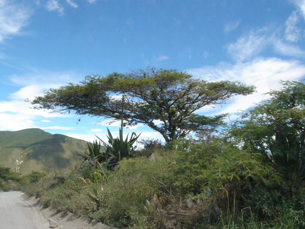 12E - Route vers la Colombir