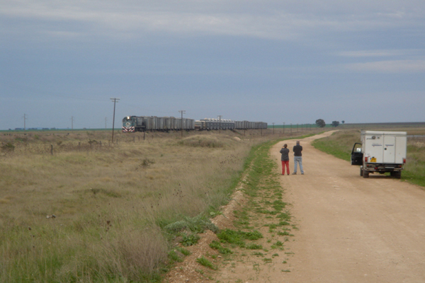 14 - Un train dans la Pampa