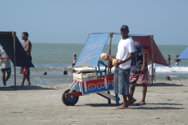 15C - vendeur de nois de coco