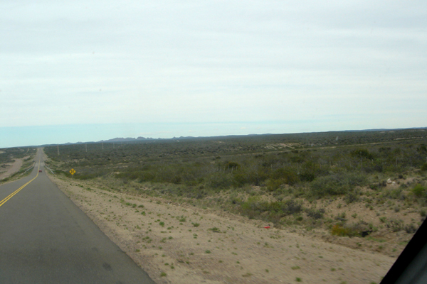 16 - La pampa à perte de vue