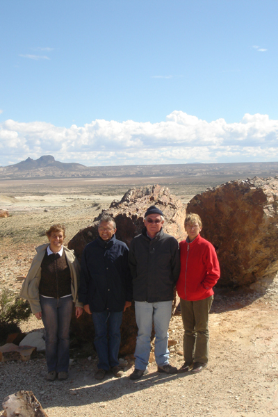 28 - Devant un arbre pétrifié