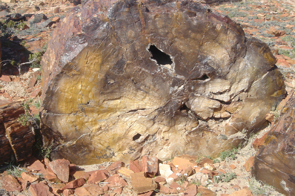 29 - Tout du bois, mais en pierre