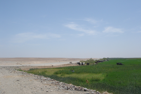 30P - Avant Arrequipa, les bienfait de l'irrigation