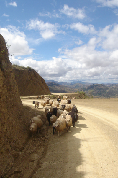 31B - toujours etre vigilant