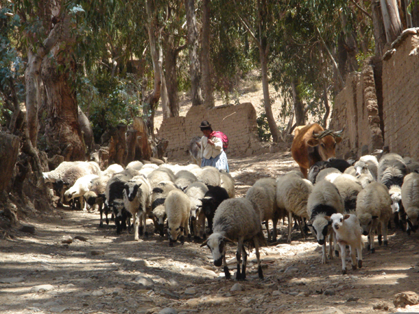 40B - Route encombr&eacute;e...