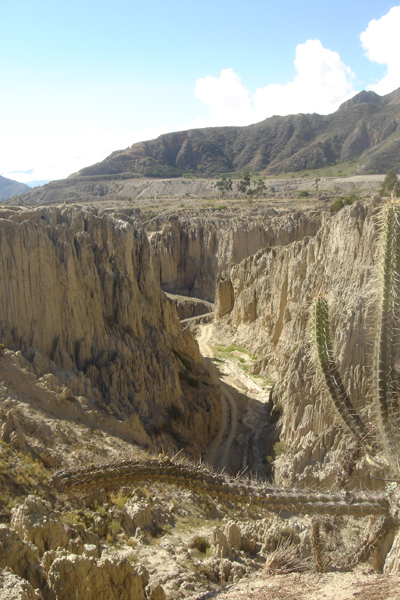 41B - Environ de La Paz - vall&eacute;e de La Luna