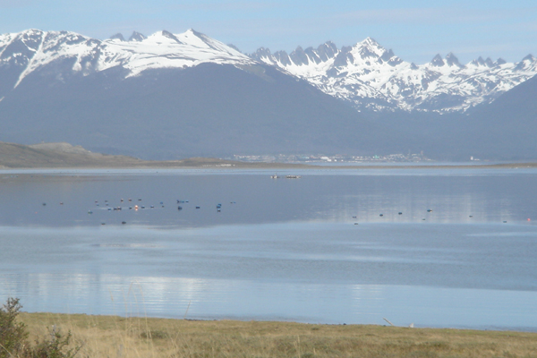49 - Port Williams, ville Chilienne encore plus au sud qu'Ushuaia