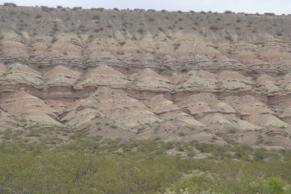 63 - Ce ne sont pas des tuilles...