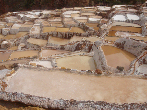 74P - Puits salants de Salinas