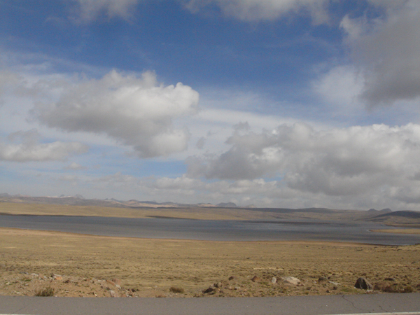 79P - L'altiplano 4500 m