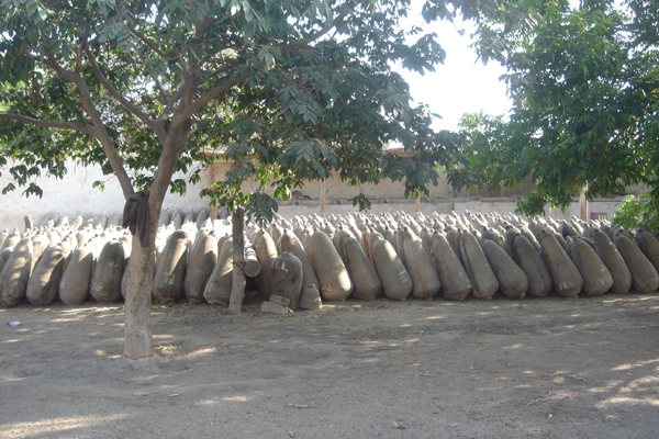 81P - fabrique de Pisco