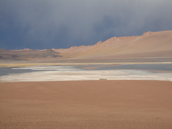 993 - Le salar Grandé