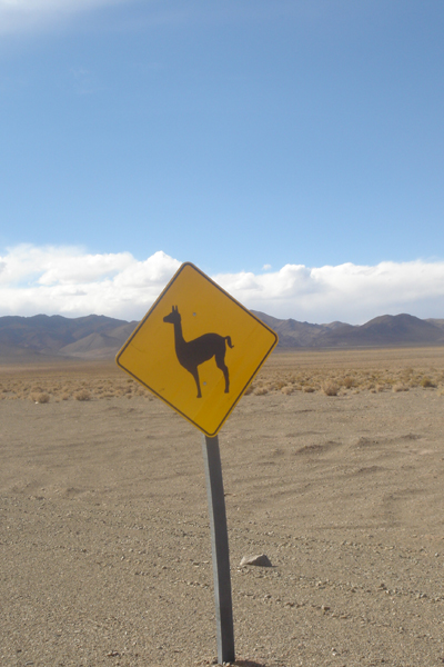 994 - Attention aux lamas