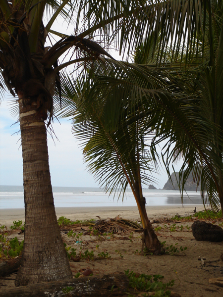 CR03 - Plage de la peninsule de Nicoya