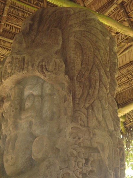 G01 - d&eacute;tail d'une coiffure