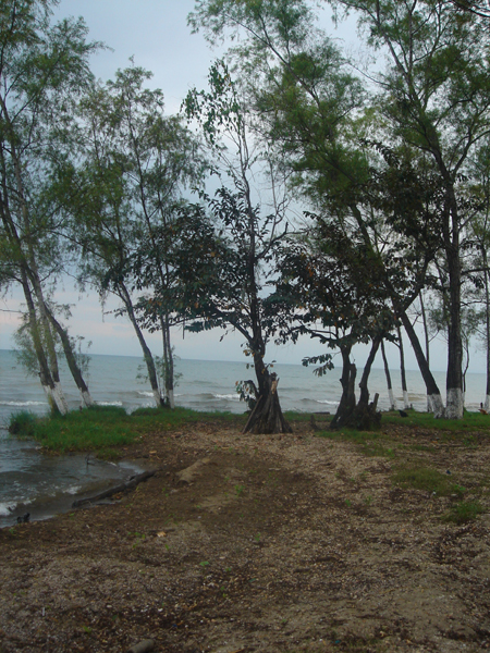 G07 - Bord du lac Izabal