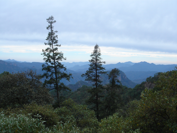 M44 - A travers la Sierra Madre del Sur