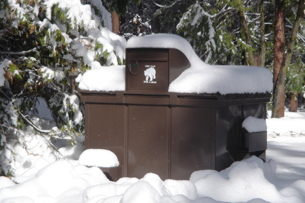 USA18 - Poubelle prot&eacute;g&eacute;e contre les ours