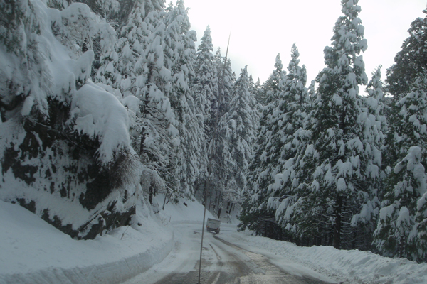 USA19 - Route vers Mariposa Grove