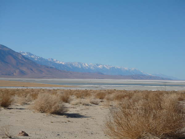USA25 - Desert sal&eacute; avant la vall&eacute;e de la mort