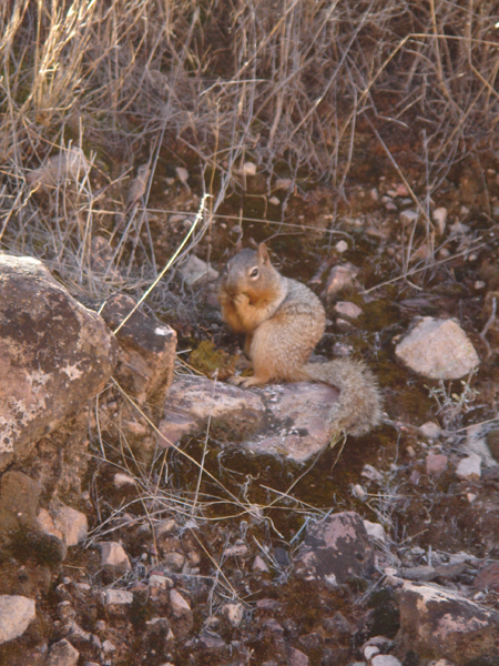 USA48 - ...et de ses habitants