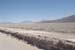 28-Salar Astocan