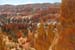 USA57  Paysages dans le Bryce Canyon Parc